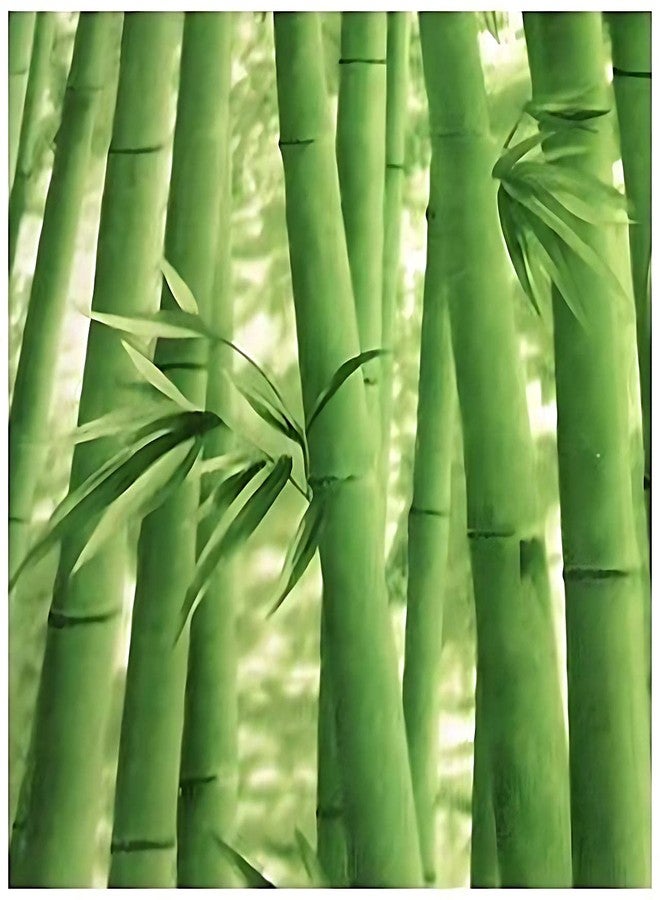 JAAMSO ROYALS ورق جدران JAAMSO ROYALS بنقشة شجرة الخيزران الخضراء، ورق جدران، ورق جدران لتزيين الجدران، ورق جدران، ملصقات جدارية للمطبخ (18 بوصة × 236 بوصة = 30 سم قدم مربع) - Image 1